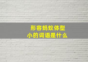 形容蚂蚁体型小的词语是什么