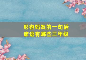 形容蚂蚁的一句话谚语有哪些三年级