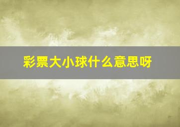 彩票大小球什么意思呀