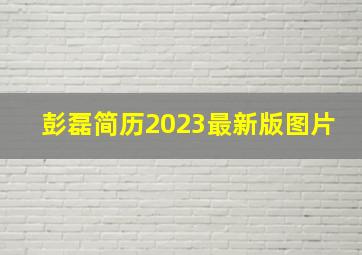 彭磊简历2023最新版图片