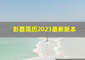 彭磊简历2023最新版本