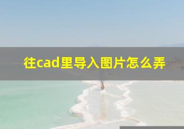 往cad里导入图片怎么弄