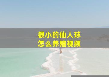 很小的仙人球怎么养殖视频