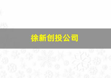 徐新创投公司