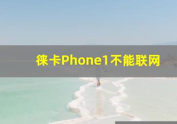 徕卡Phone1不能联网