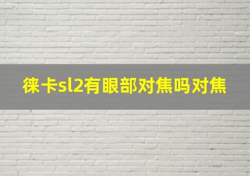 徕卡sl2有眼部对焦吗对焦