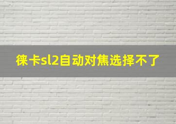 徕卡sl2自动对焦选择不了