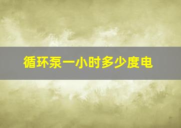 循环泵一小时多少度电