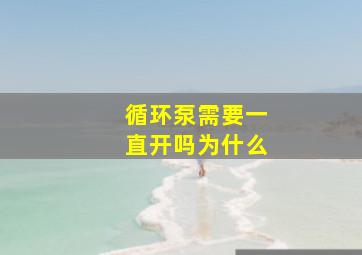 循环泵需要一直开吗为什么