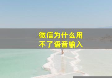 微信为什么用不了语音输入