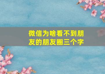 微信为啥看不到朋友的朋友圈三个字