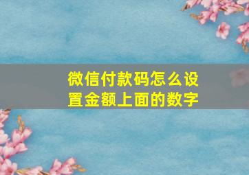 微信付款码怎么设置金额上面的数字