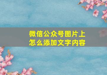 微信公众号图片上怎么添加文字内容