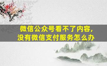 微信公众号看不了内容,没有微信支付服务怎么办