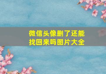 微信头像删了还能找回来吗图片大全