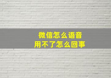 微信怎么语音用不了怎么回事