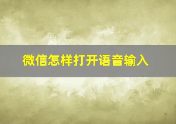 微信怎样打开语音输入