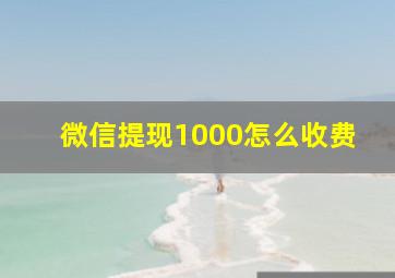 微信提现1000怎么收费