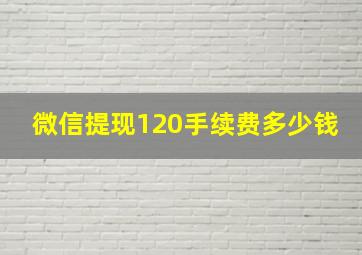 微信提现120手续费多少钱