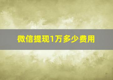 微信提现1万多少费用