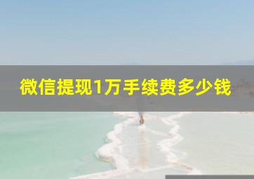 微信提现1万手续费多少钱