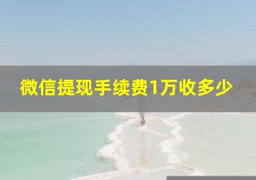 微信提现手续费1万收多少