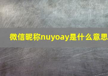 微信昵称nuyoay是什么意思