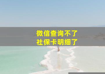 微信查询不了社保卡明细了