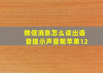 微信消息怎么读出语音提示声音呢苹果12