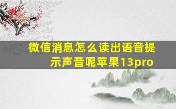 微信消息怎么读出语音提示声音呢苹果13pro