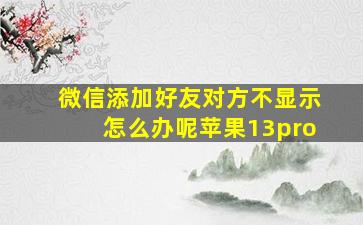 微信添加好友对方不显示怎么办呢苹果13pro