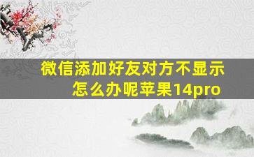 微信添加好友对方不显示怎么办呢苹果14pro