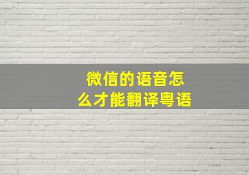 微信的语音怎么才能翻译粤语