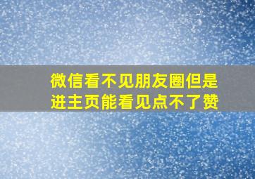 微信看不见朋友圈但是进主页能看见点不了赞