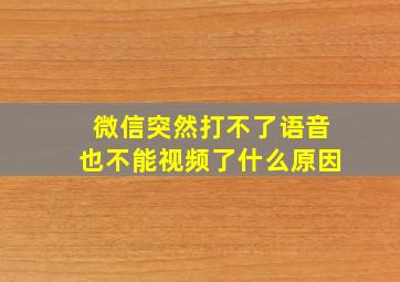 微信突然打不了语音也不能视频了什么原因