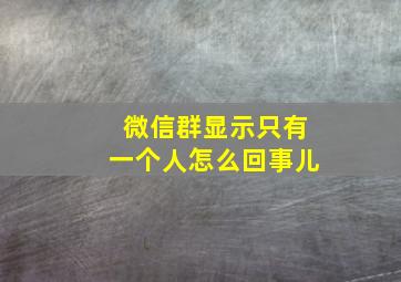 微信群显示只有一个人怎么回事儿