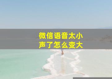 微信语音太小声了怎么变大