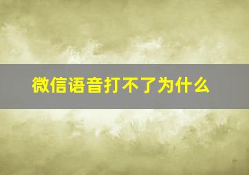 微信语音打不了为什么