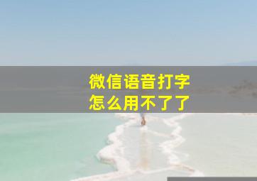 微信语音打字怎么用不了了