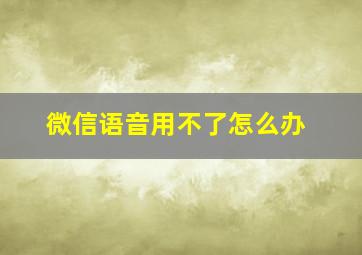 微信语音用不了怎么办