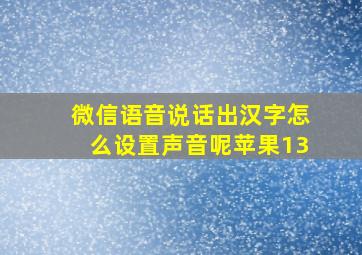 微信语音说话出汉字怎么设置声音呢苹果13