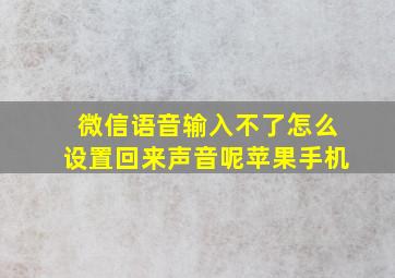 微信语音输入不了怎么设置回来声音呢苹果手机