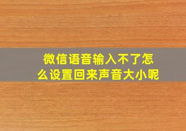 微信语音输入不了怎么设置回来声音大小呢