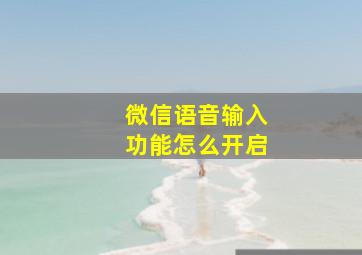 微信语音输入功能怎么开启