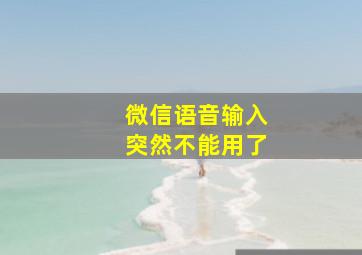 微信语音输入突然不能用了