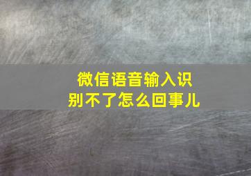 微信语音输入识别不了怎么回事儿