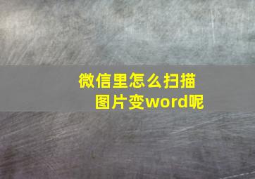 微信里怎么扫描图片变word呢