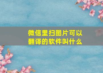 微信里扫图片可以翻译的软件叫什么