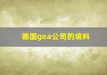 德国gea公司的填料