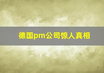 德国pm公司惊人真相